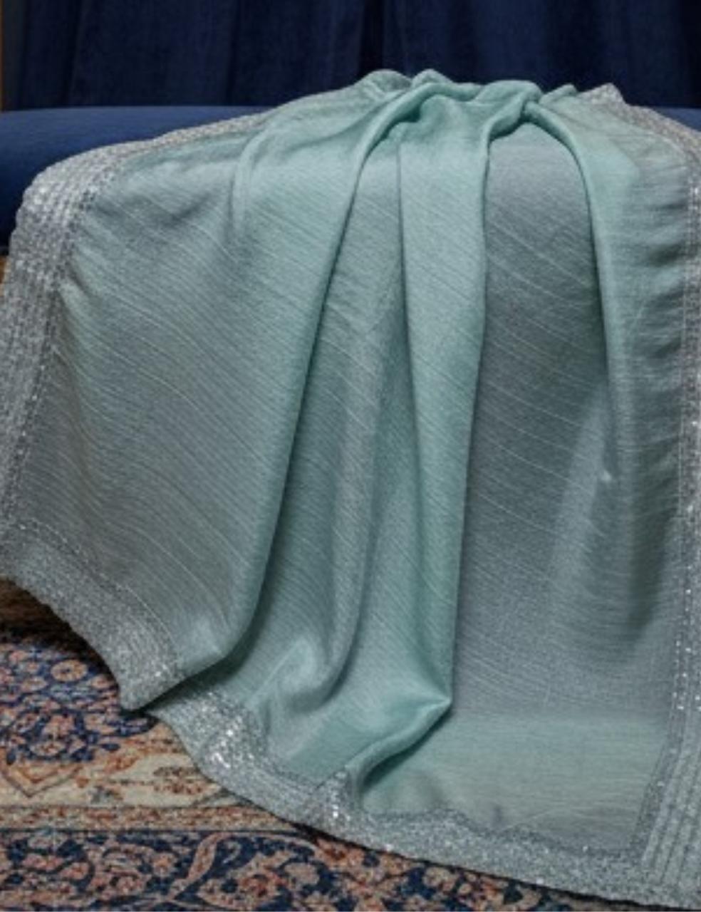 Light Sky Blue Space Silk Saree with Stone Work Border ✨