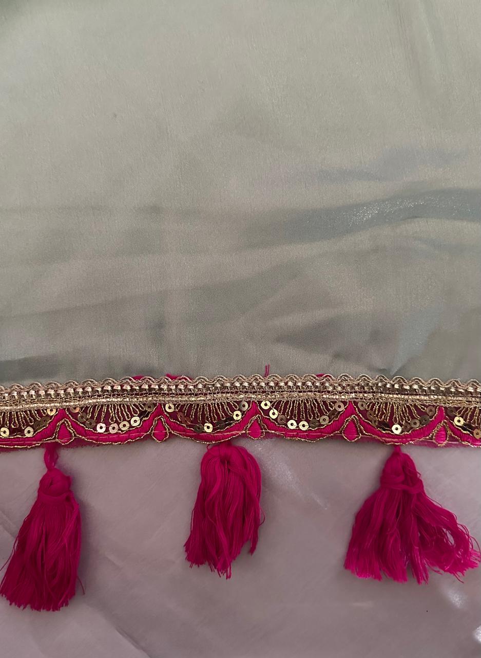 Mint Green Space Silk Saree with Magenta Pink Embroidered Border & Blouse