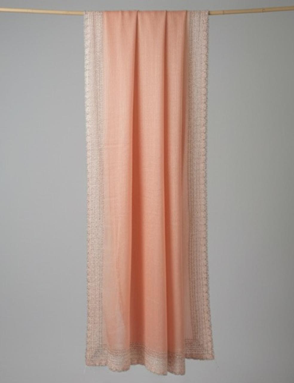 Peach Silk Saree with Silver Stone Border Work ✨
